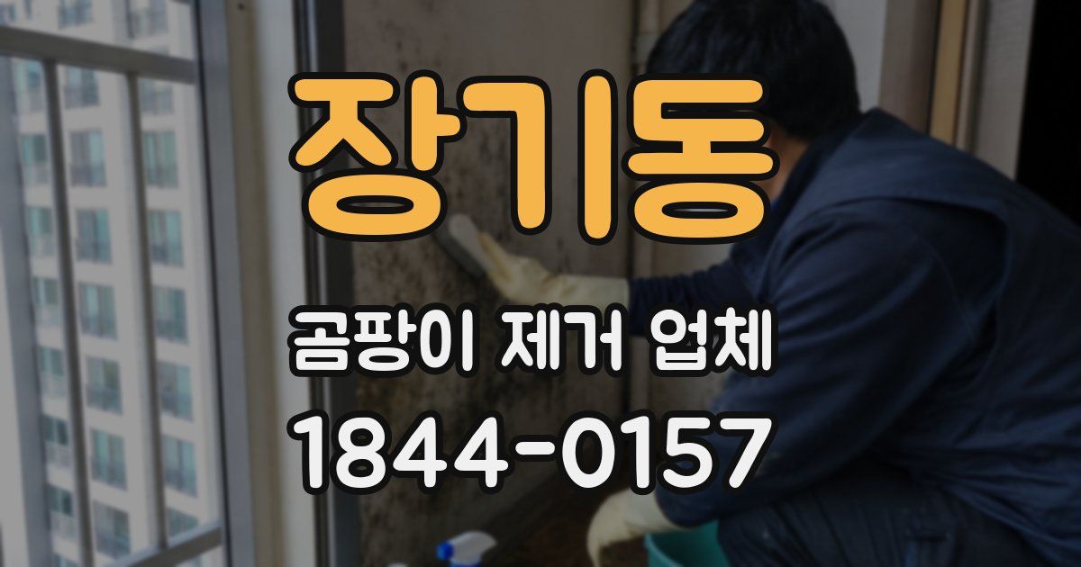 장기동 곰팡이 제거 업체