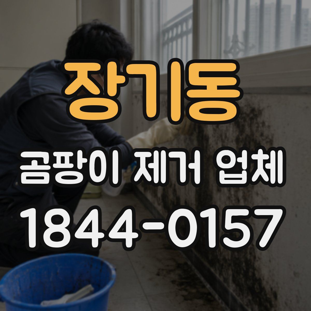 장기동 곰팡이 제거 업체