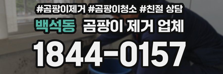 백석동 곰팡이 제거 업체