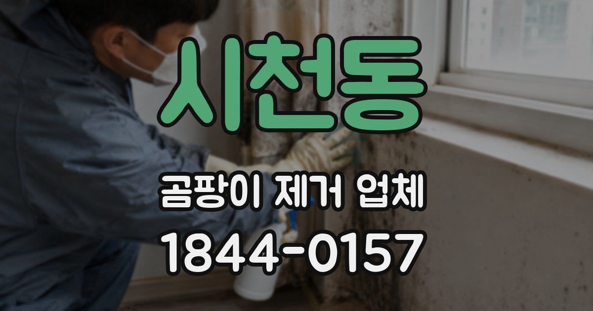 시천동 곰팡이 제거 업체