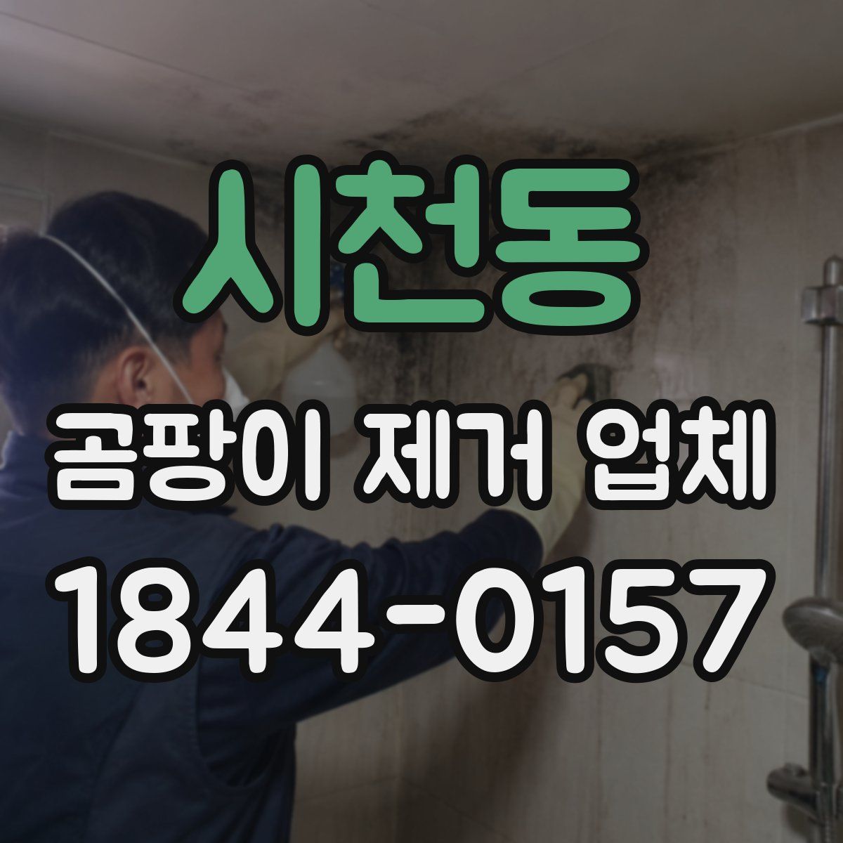 시천동 곰팡이 제거 업체