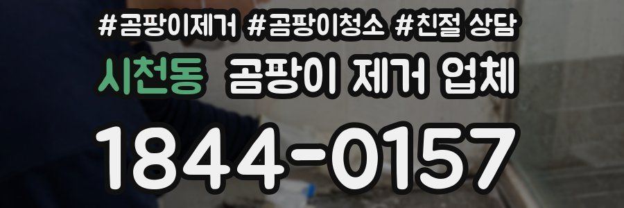 시천동 곰팡이 제거 업체