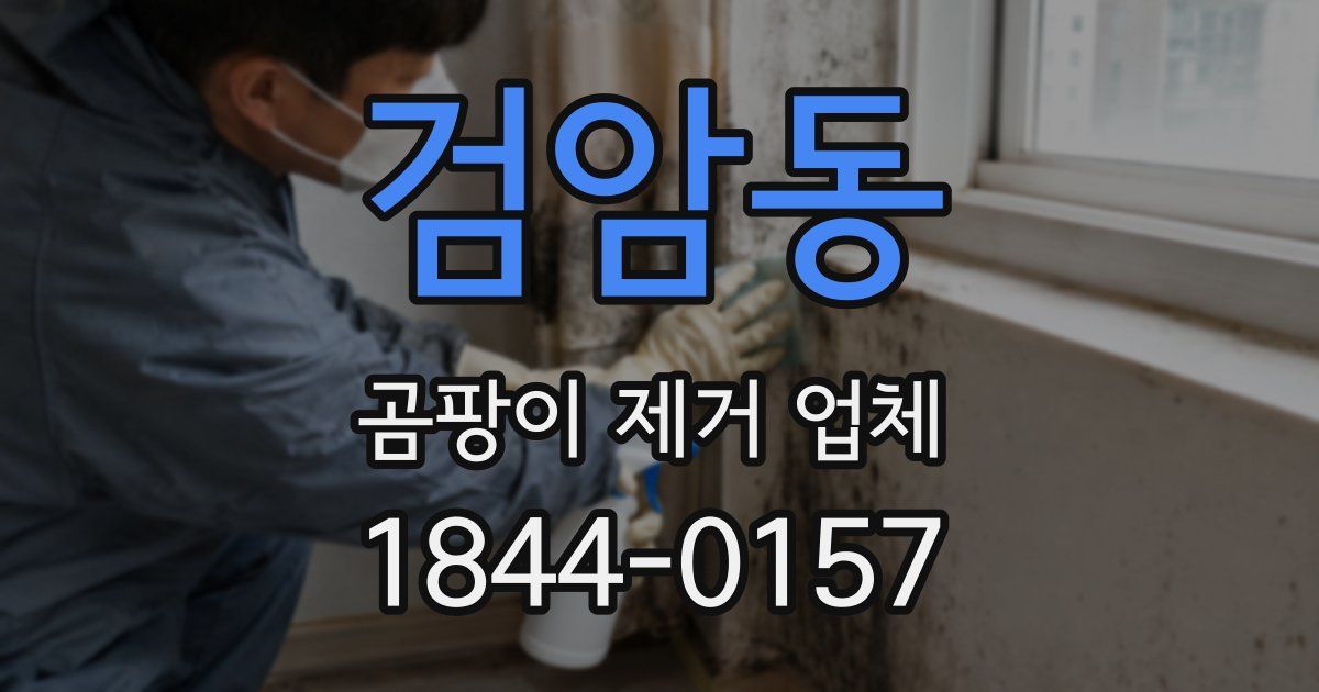 검암동 곰팡이 제거 업체