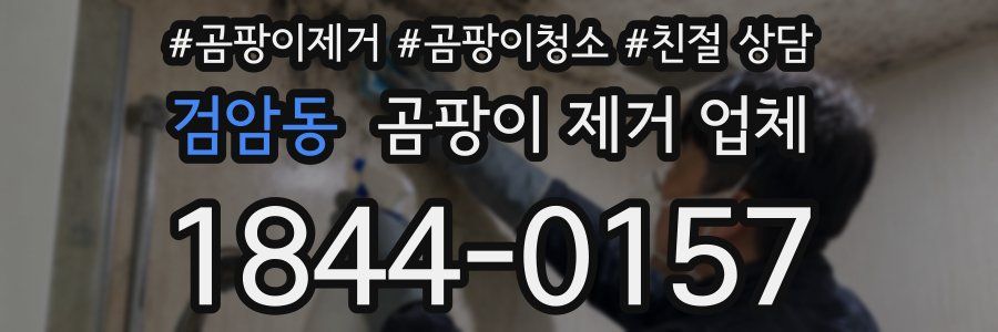 검암동 곰팡이 제거 업체