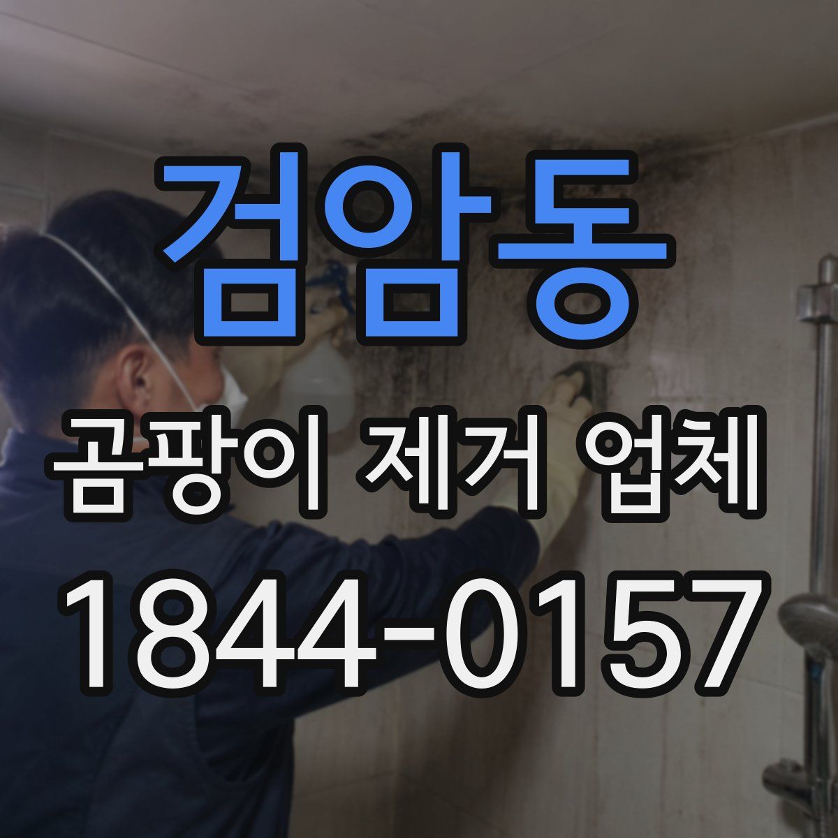 검암동 곰팡이 제거 업체