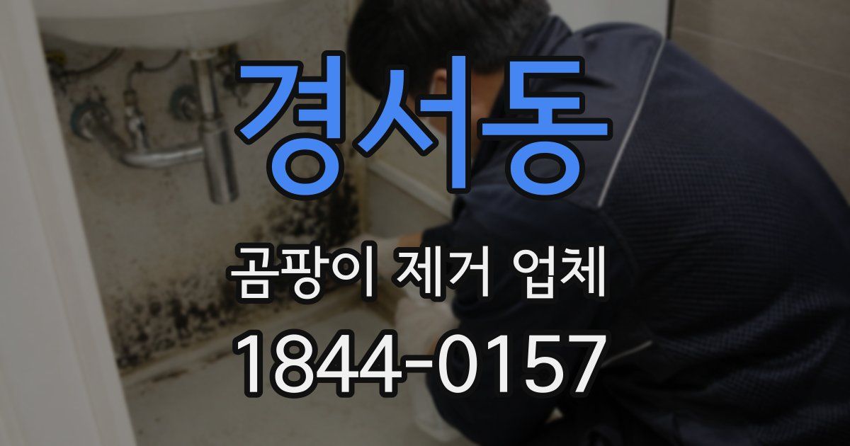 경서동 곰팡이 제거 업체