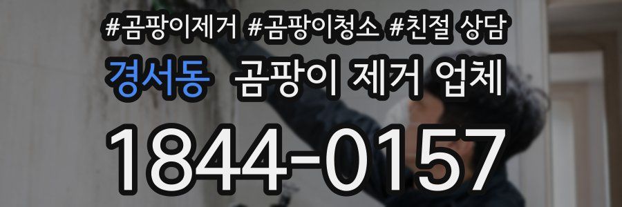 경서동 곰팡이 제거 업체