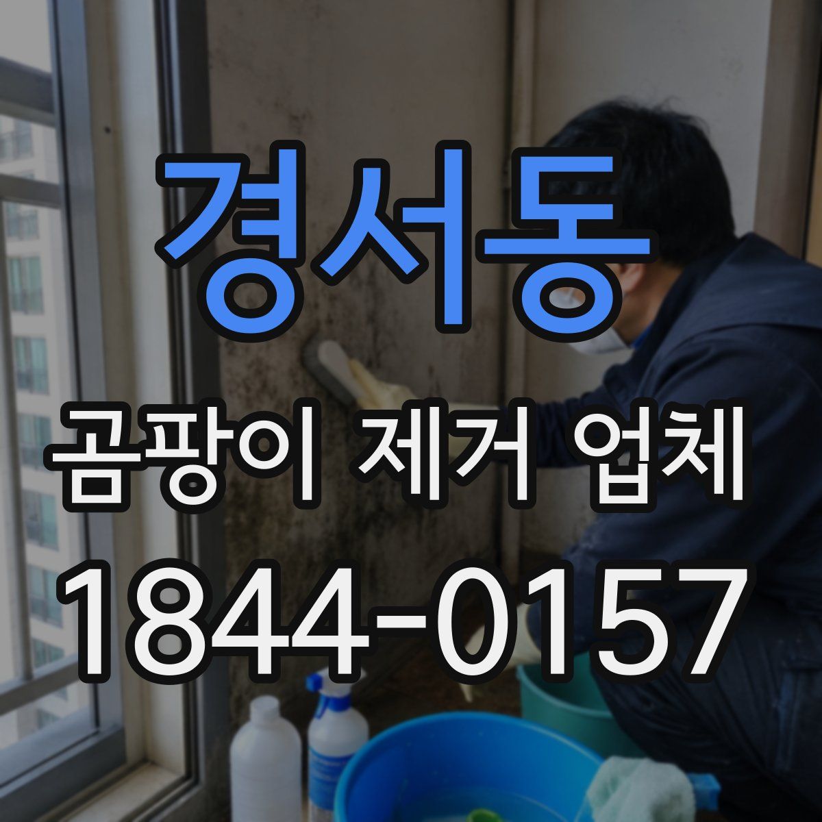 경서동 곰팡이 제거 업체