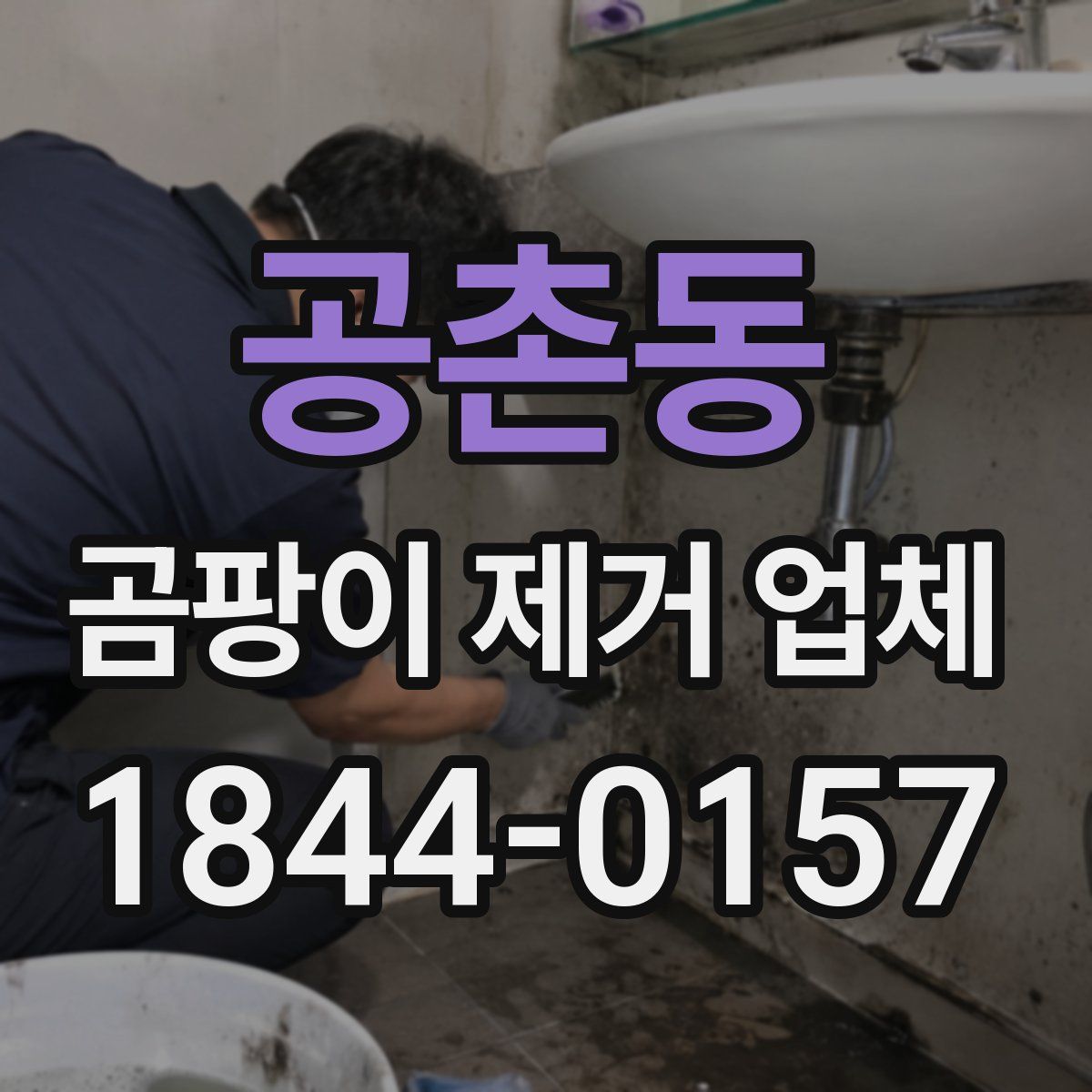 공촌동 곰팡이 제거 업체