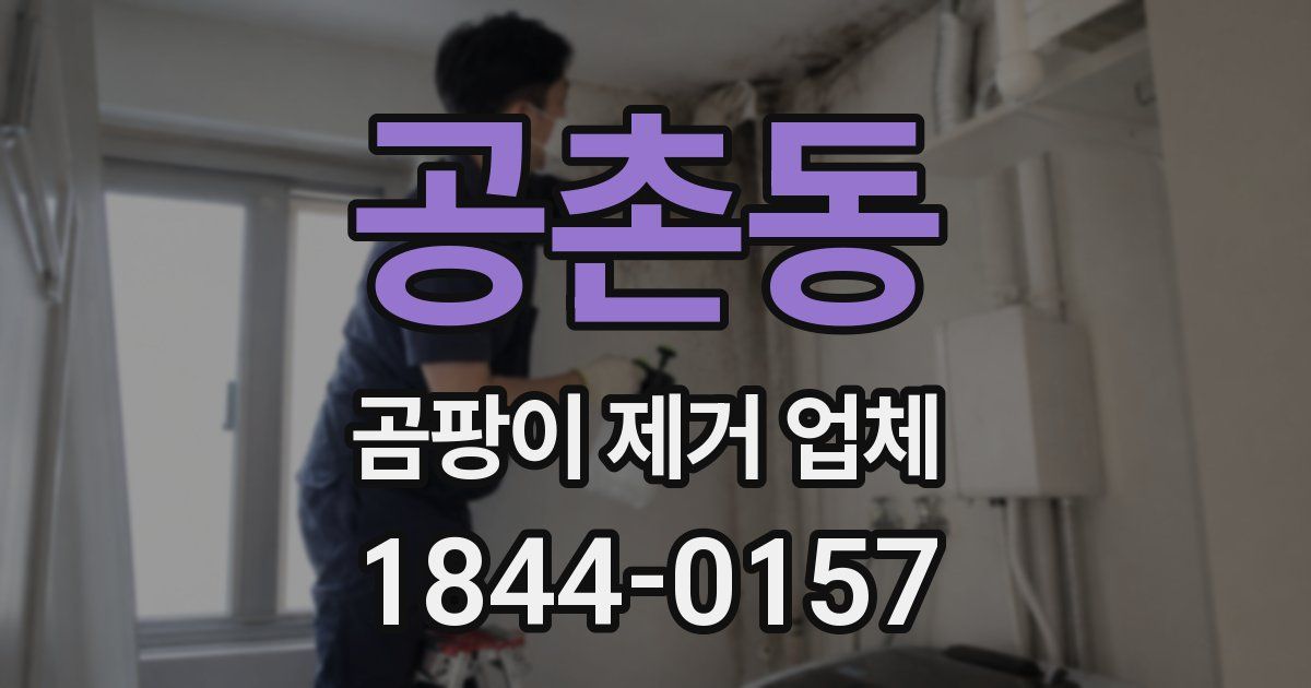 공촌동 곰팡이 제거 업체