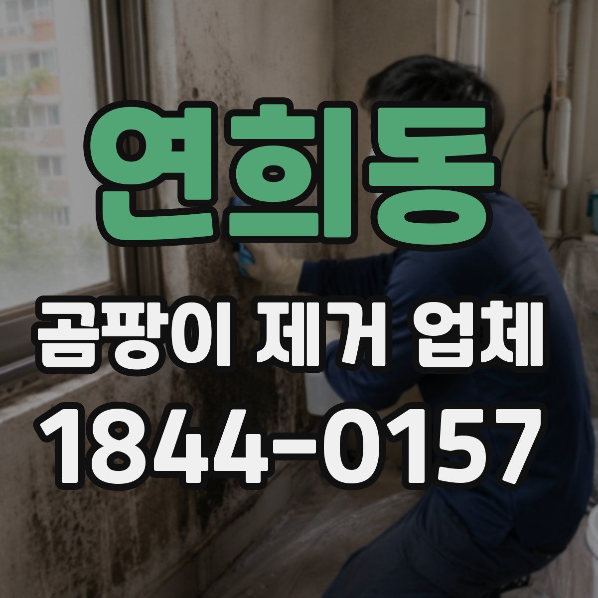 연희동 곰팡이 제거 업체