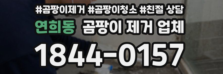 연희동 곰팡이 제거 업체