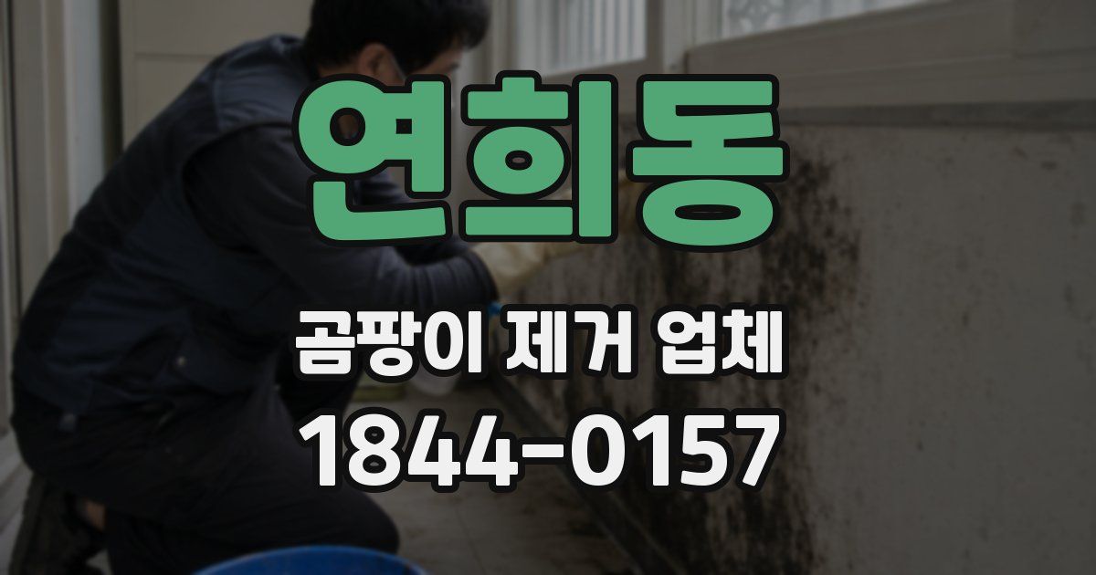연희동 곰팡이 제거 업체