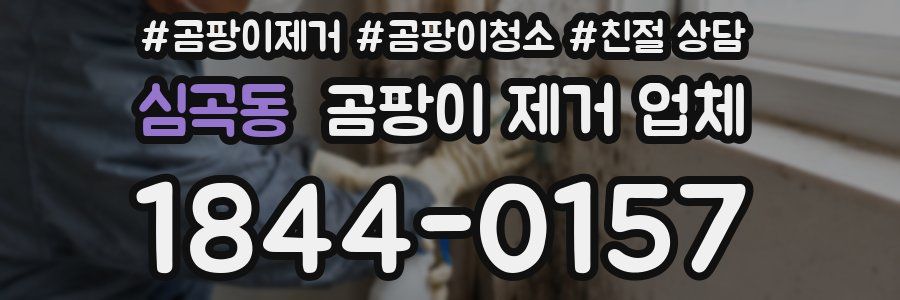 심곡동 곰팡이 제거 업체