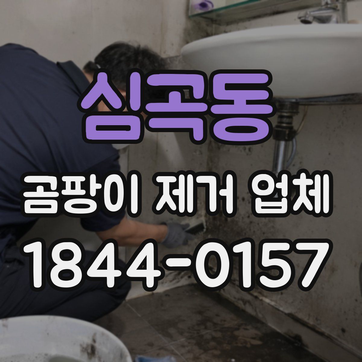 심곡동 곰팡이 제거 업체