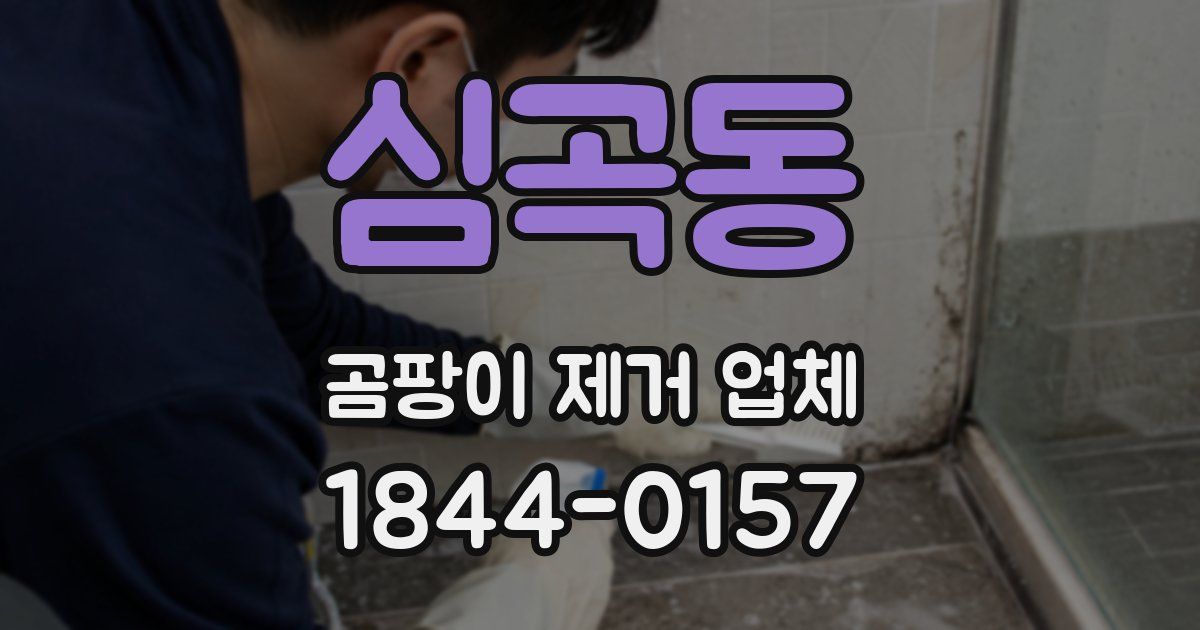심곡동 곰팡이 제거 업체
