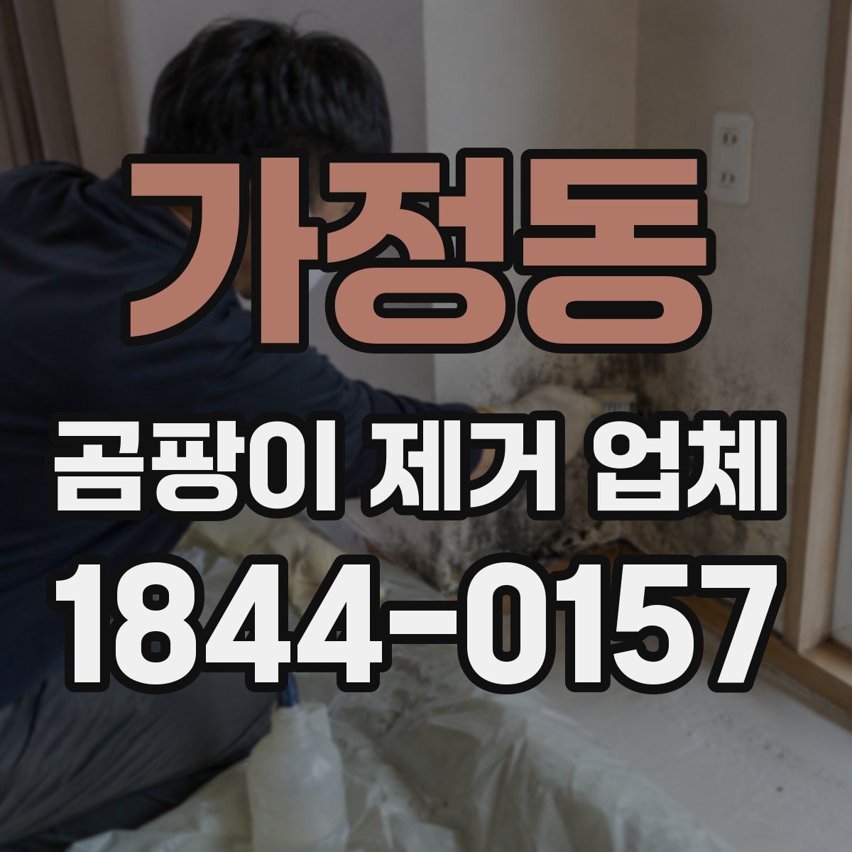 가정동 곰팡이 제거 업체