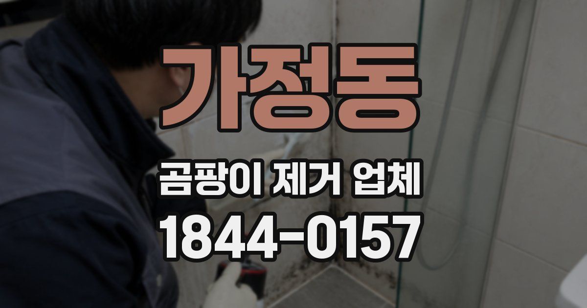가정동 곰팡이 제거 업체