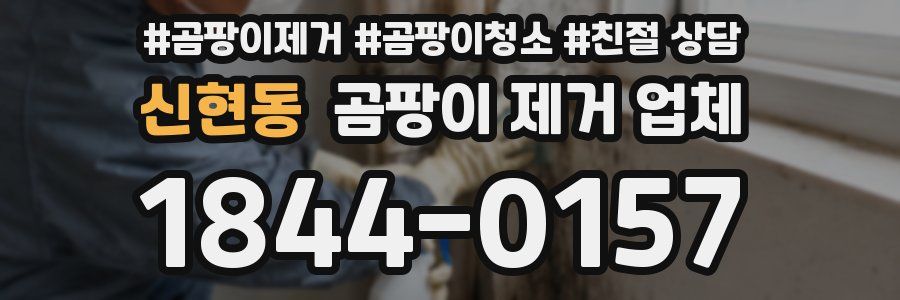 신현동 곰팡이 제거 업체