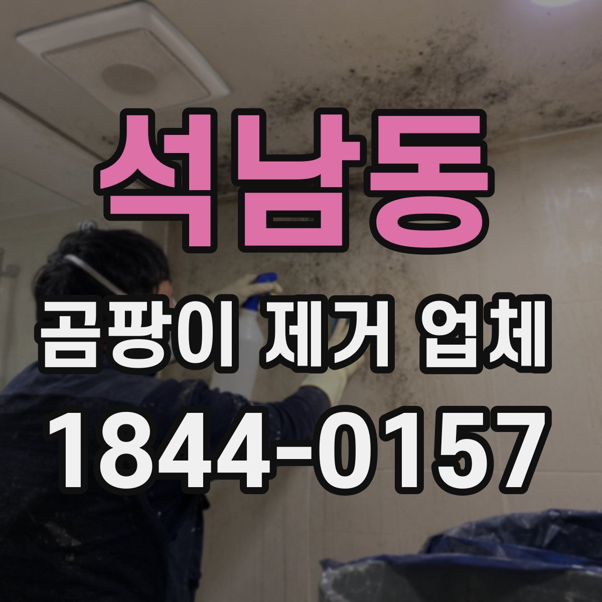 석남동 곰팡이 제거 업체