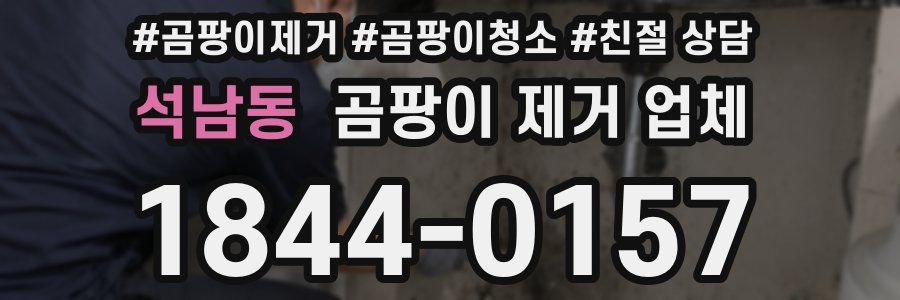 석남동 곰팡이 제거 업체
