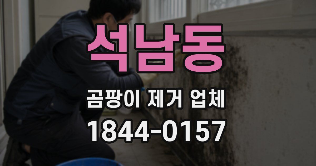 석남동 곰팡이 제거 업체