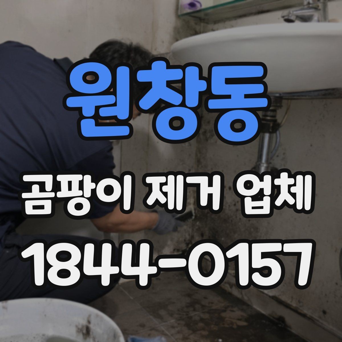 원창동 곰팡이 제거 업체 견적 비교 시 빠뜨리기 쉬운 항목