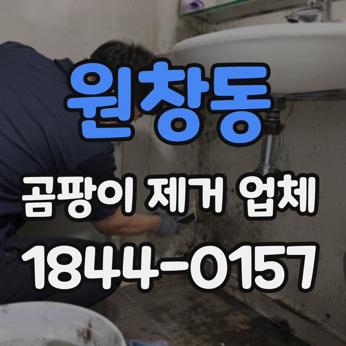 원창동 곰팡이 제거 업체