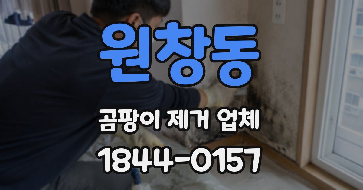 원창동 곰팡이 제거 업체