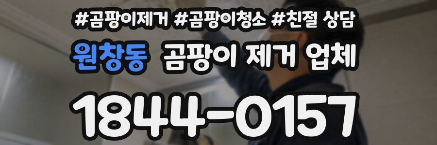 원창동 곰팡이 제거 업체