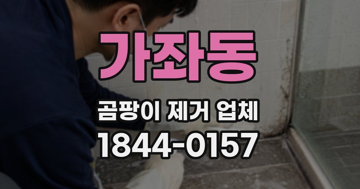 가좌동 곰팡이 제거 업체