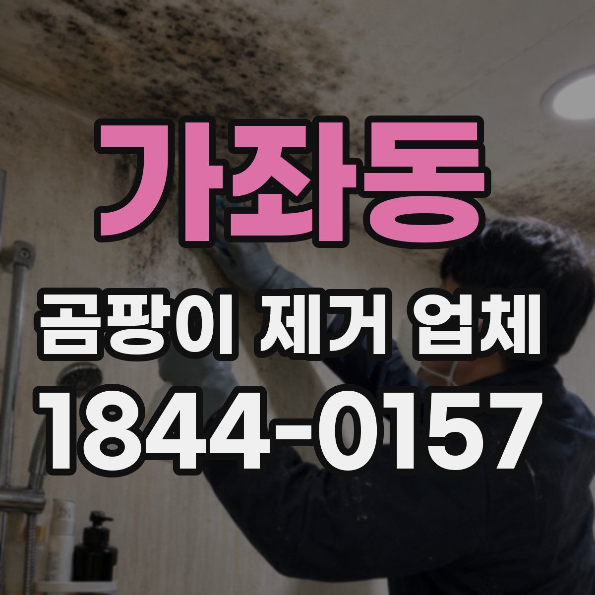 가좌동 곰팡이 제거 업체