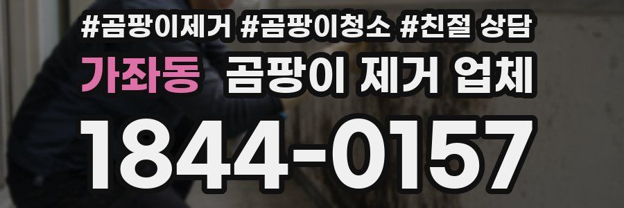 가좌동 곰팡이 제거 업체