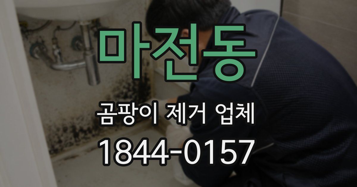 마전동 곰팡이 제거 업체