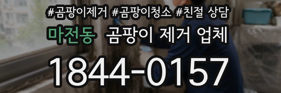 마전동 곰팡이 제거 업체