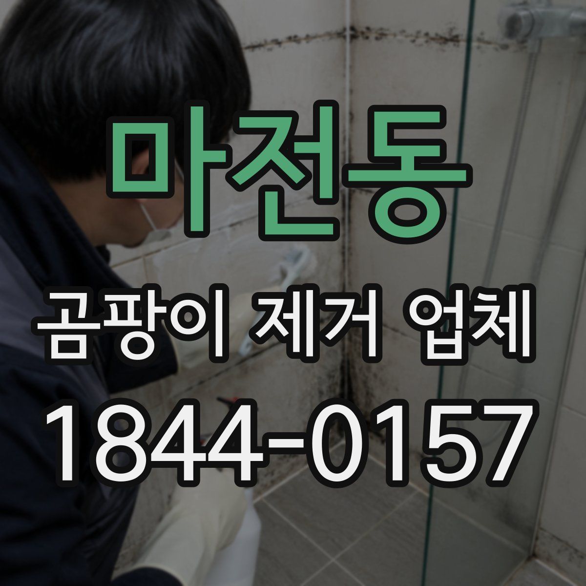 마전동 곰팡이 제거 업체