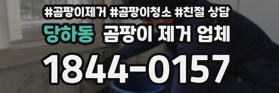 당하동 곰팡이 제거 업체