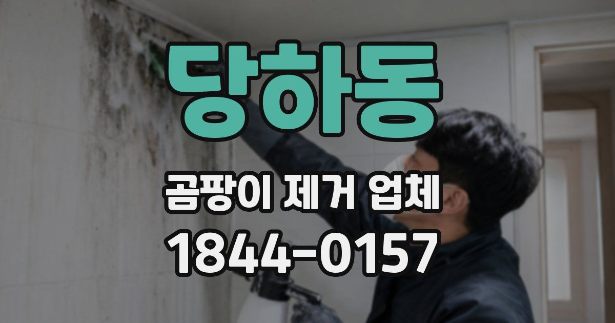 당하동 곰팡이 제거 업체
