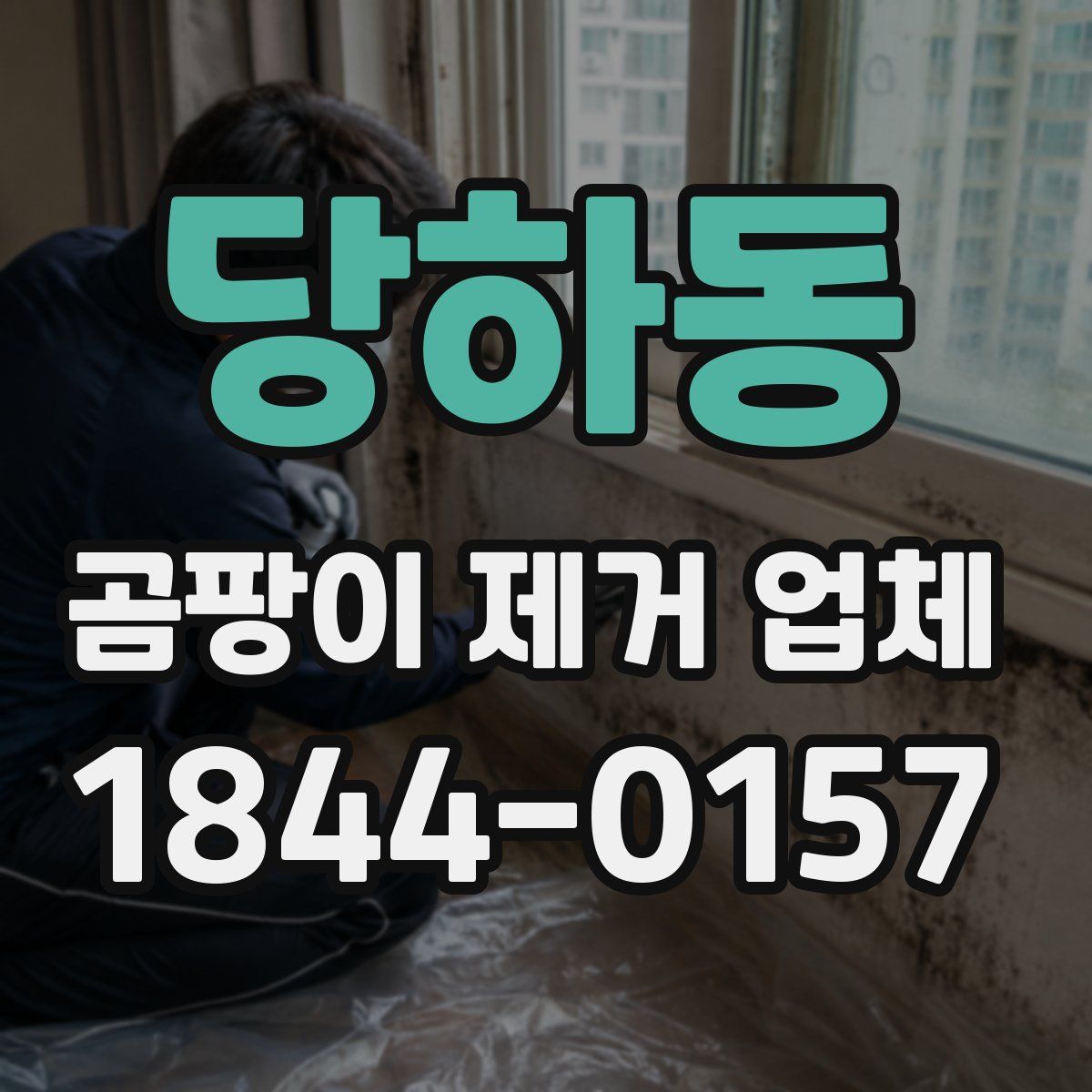 당하동 곰팡이 제거 업체