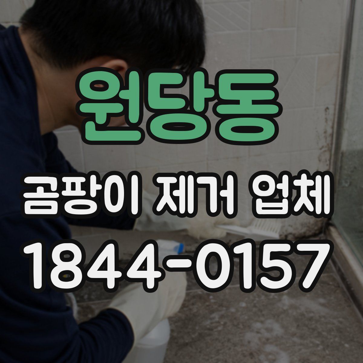 원당동 곰팡이 제거 업체