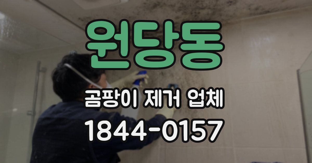 원당동 곰팡이 제거 업체