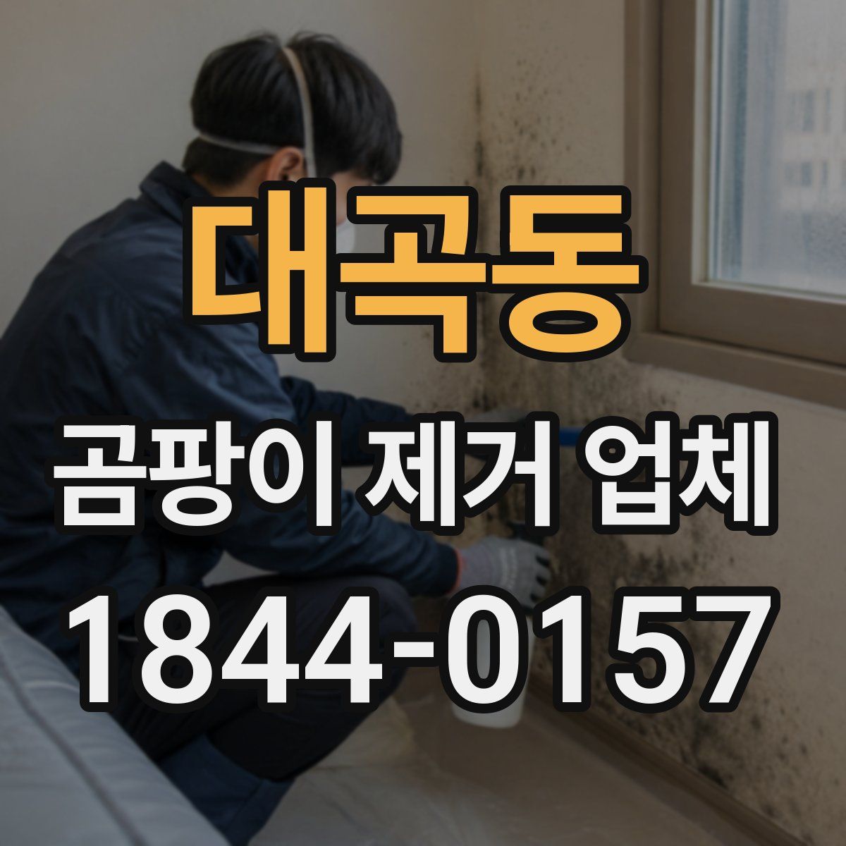대곡동 곰팡이 제거 업체