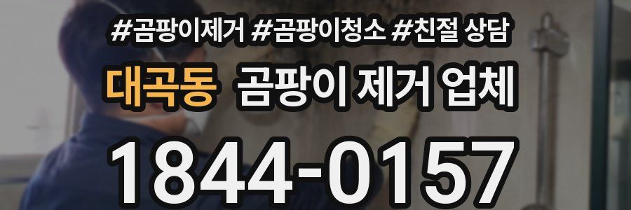 대곡동 곰팡이 제거 업체