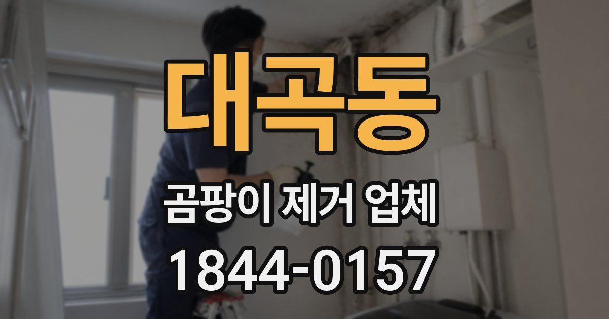 대곡동 곰팡이 제거 업체