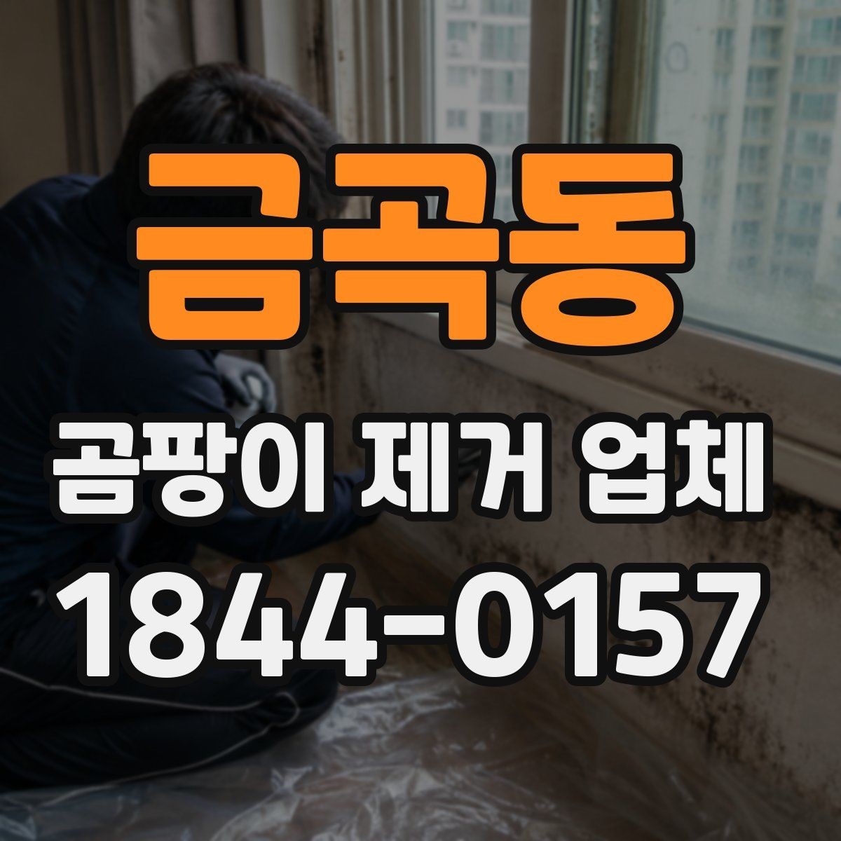 금곡동 곰팡이 제거 업체 선정 시 업체 경력 확인하기
