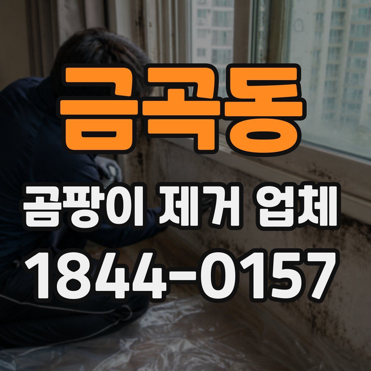 금곡동 곰팡이 제거 업체