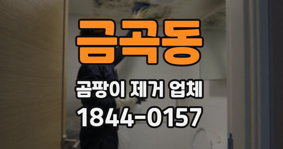 금곡동 곰팡이 제거 업체