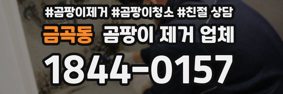 금곡동 곰팡이 제거 업체