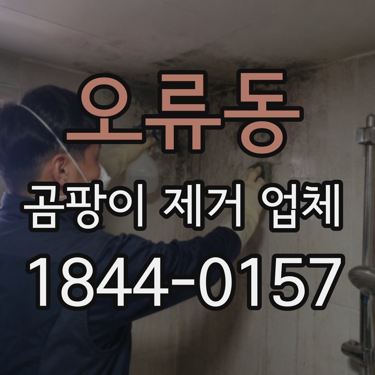 오류동 곰팡이 제거 업체