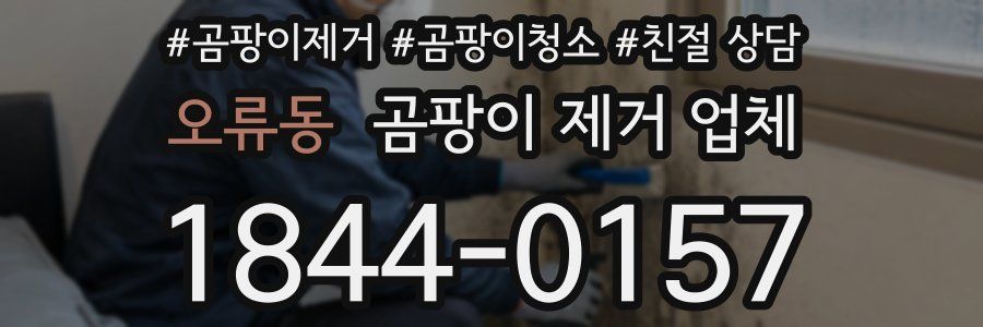 오류동 곰팡이 제거 업체